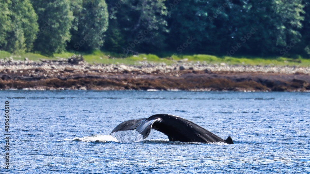 Fototapeta premium Juneau, Alaska