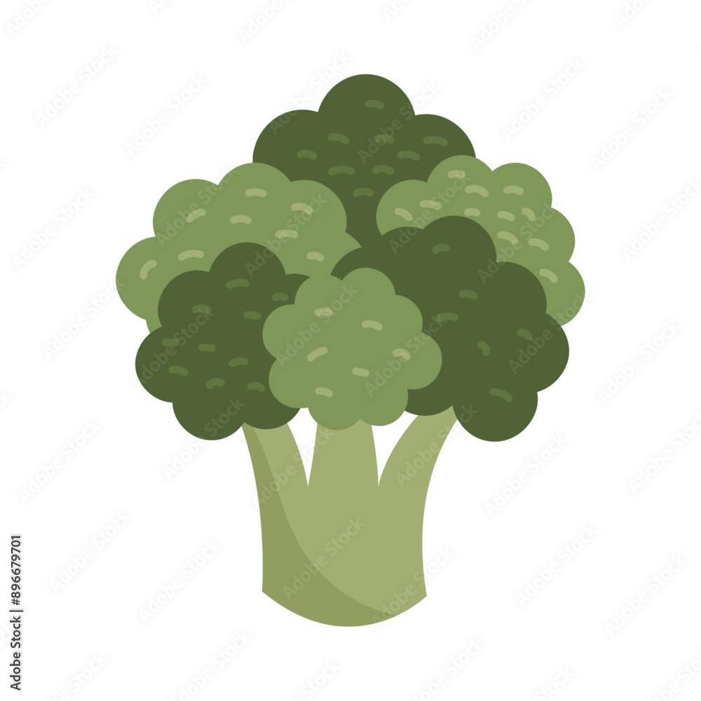 Fresh organic broccoli on white background Fresh organic broccoli on white background