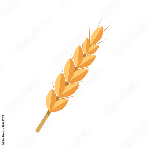 Wheat Bunch of wheat ears clip art Dried whole grains illustration Cereal harvest