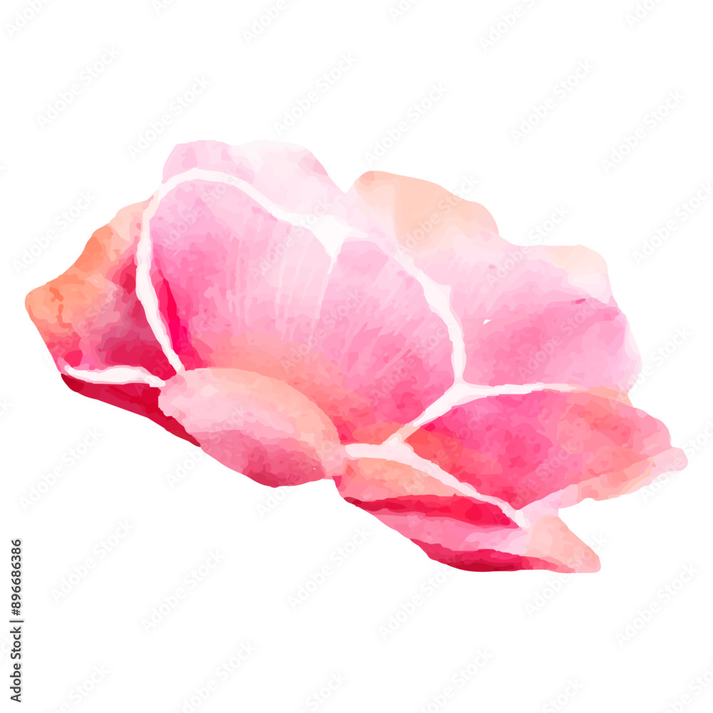 Fototapeta premium Detailed watercolor flower illustration, Elegant watercolor spring flower