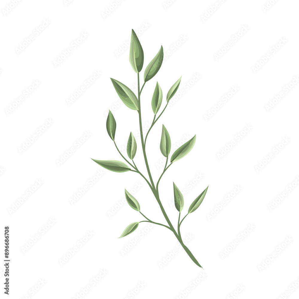 Fototapeta premium Hand painted leaves watercolor, Watercolor leave illustration on white background