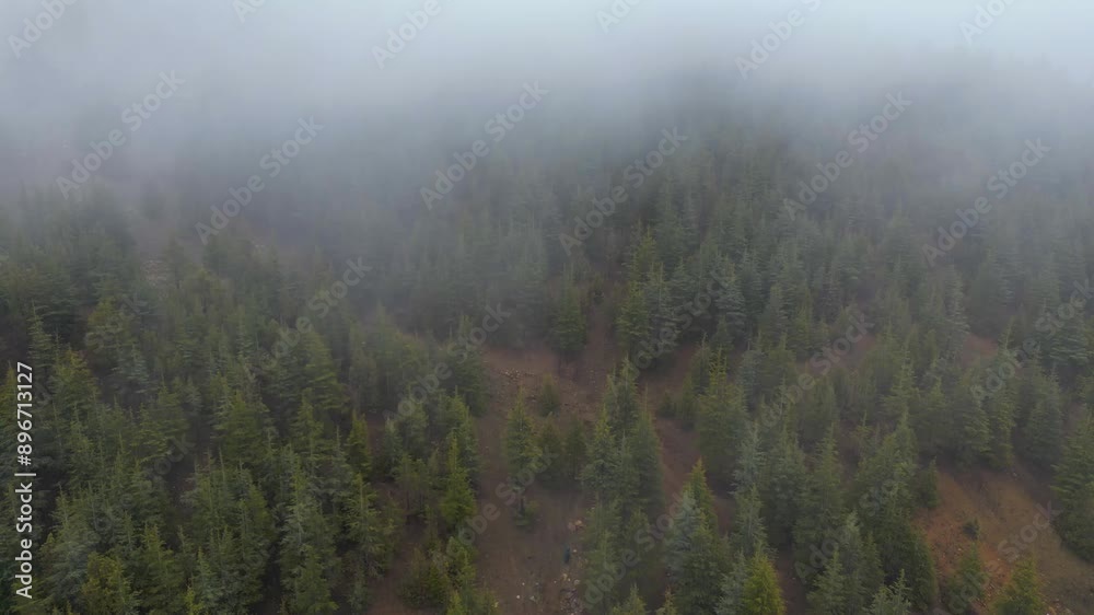 Jungle view, The Drone flies over a landscape of dense, verdant forest-covered mountains, Aerial View of Lush Green Forest Mountains, Jungle view Jungle view, The Drone flies over a landscape of dense, verdant forest-covered mountains, Aerial View of Lush Green Forest Mountains, Jungle view