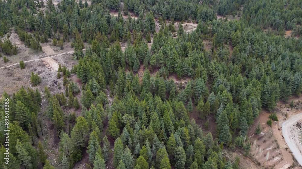 Jungle view, The Drone flies over a landscape of dense, verdant forest-covered mountains, Aerial View of Lush Green Forest Mountains, Jungle view Jungle view, The Drone flies over a landscape of dense, verdant forest-covered mountains, Aerial View of Lush Green Forest Mountains, Jungle view