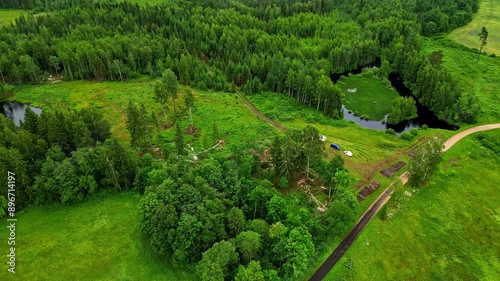 Shot of felled forest with fallen and uprooted trees for construction or agricultural needs, strong green colors photo