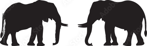 silhouettes vector of elephants 