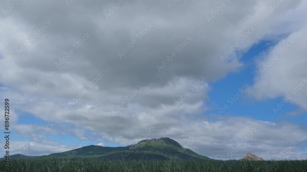 緑の麦畑と有珠山と昭和新山 緑の麦畑と有珠山と昭和新山