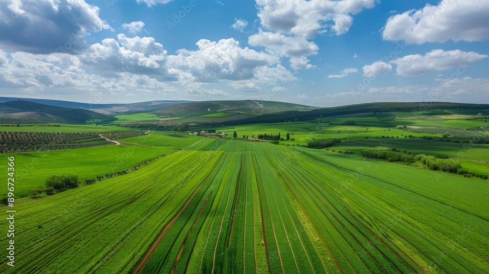 Obraz premium Aerial View of Farmland in a Rolling Green Landscape