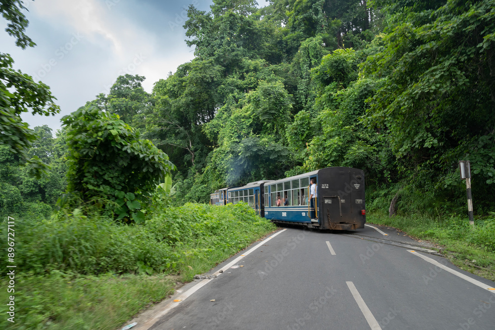 Naklejka premium Darjeeling,West Bengal,India - 10th August 2023 : Diesel Toy train passing through Himalayan roads and jungle. Darjeeling Himalayan Railway, narrow gauge railway between New Jalpaiguri and Darjeeling.