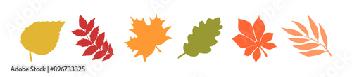 Flat autumn trendy leaves on a white background. Golden falling leaves of oak, birch, maple, rowan, willow, chestnut. Elements for trendy design of banners and posters, web, social media, marketing. 
