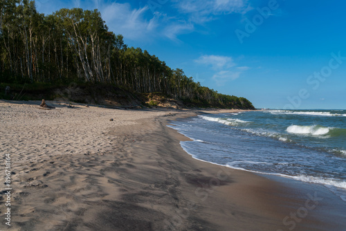 Fototapeta Naklejka Na Ścianę i Meble -  View of the Baltic Sea coast near the village of Lesnoy on the Curonian Spit on a sunny summer day, Kaliningrad region, Russia