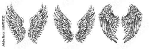 Wallpaper Mural wings set black and white hand drawn vector illustration Torontodigital.ca