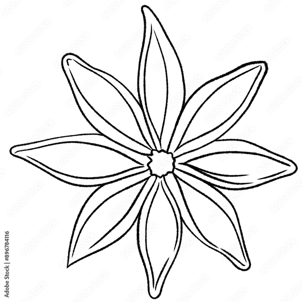 Obraz premium Star Anise
