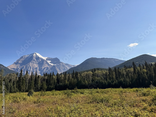 Mount Robson, BC, Canada. A mountain landscape with blue sky and yellow grass in the foreground.  photo