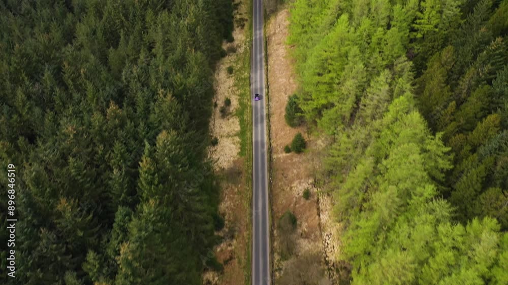 Top down aerial view of car driving along the road between the green coniferous forest, pine tree forest surrounding scenic road Top down aerial view of car driving along the road between the green coniferous forest, pine tree forest surrounding scenic road