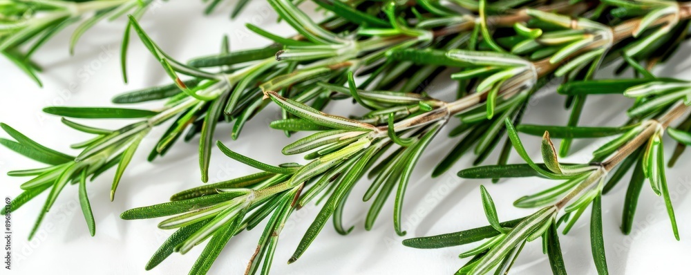 Fototapeta premium Fresh rosemary sprigs on a white background, perfect for culinary uses, garnishes, and aromatic infusions.