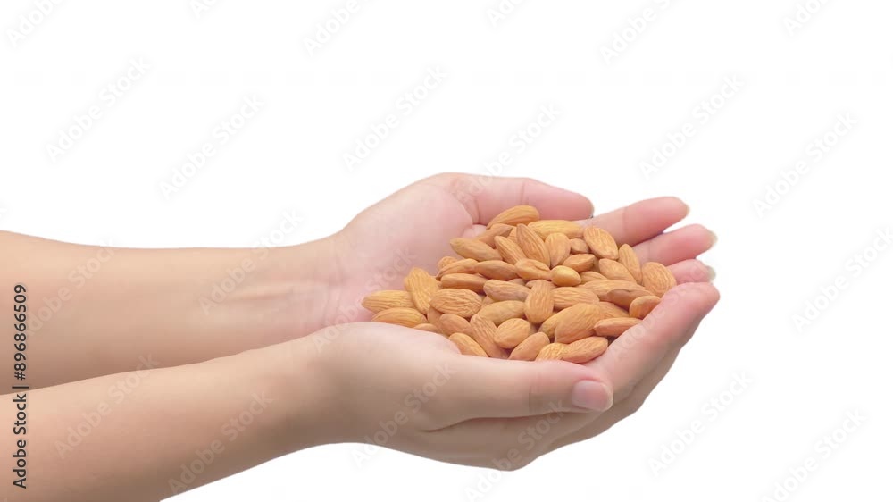 Close up shot of female hand showing a handful of Almond seed isolated on white background Close up shot of female hand showing a handful of Almond seed isolated on white background
