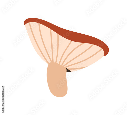 Russula mushroom. Red cap fungi, autumn forest food plant. Gilled fungus. Fall russule icon. Botanical flat graphic vector illustration isolated on white background