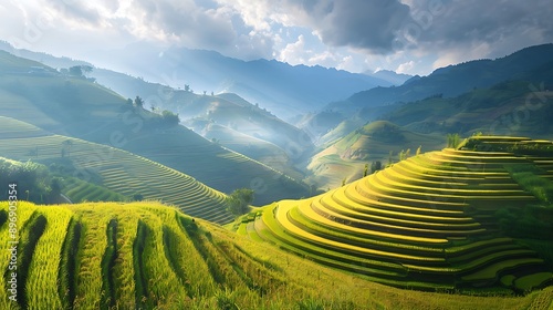 Terraced rice field landscape mu cang chai rice terrace fields stretching across the mountainside layer by layer reaching up as endless