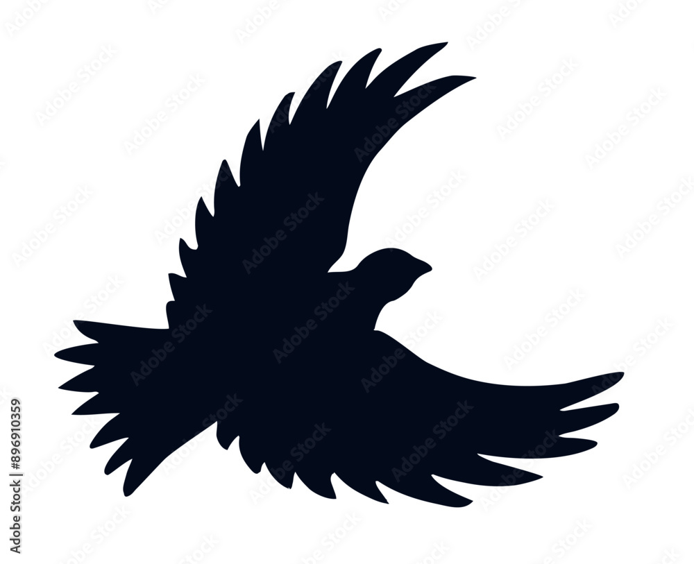 Obraz premium Vector drawing. Cute flying dove