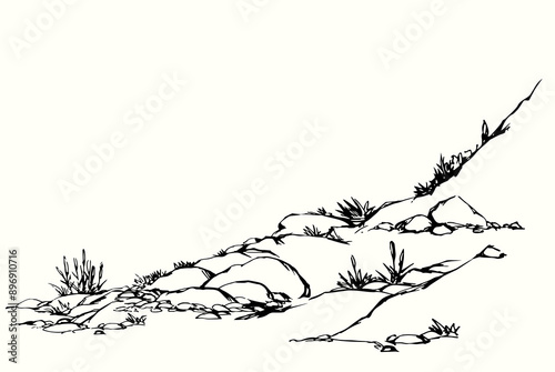 Vector drawing. Plantds grows on the stony hill