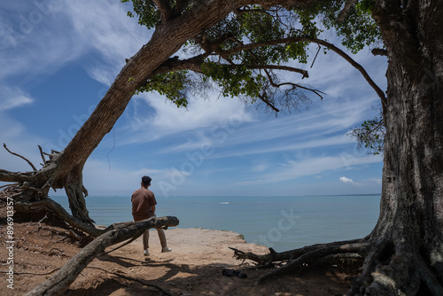 A man sits alone near a large tree on a cliff near the beach. A man looks at the ocean view on a cliff near the beach on a sunny day