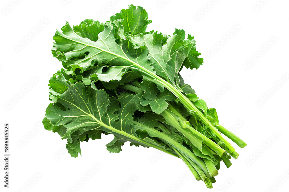 Rare broccoli floret with green leaves, isolated on a white background Rare broccoli floret with green leaves, isolated on a white background