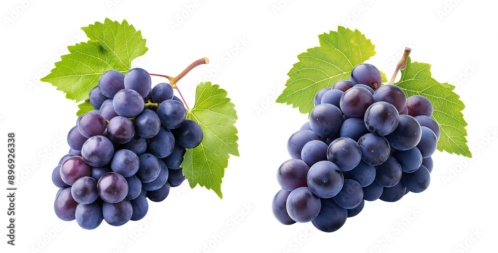 Obraz premium Set of Grape fruit fresh isolated on transparent background