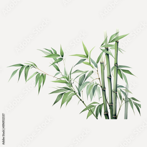 Elegant bamboo plant illustration