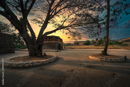 sunset in the park