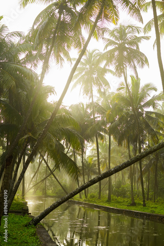 Serene Sunrise Over Lush Green Palm Grove Reflecting in Tranquil Waters - Breathtaking Natural Beauty