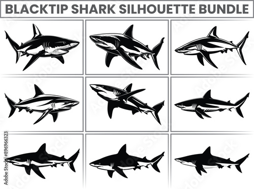 Sea Animal Blacktip Shark Silhouette Vector, Flat Illustration of Shark Fish Silhouettes