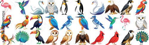 Detailed and vibrant illustrations of diverse bird species including parrots, peacocks, owls, penguins, and more, showcasing their beautiful colors and unique features