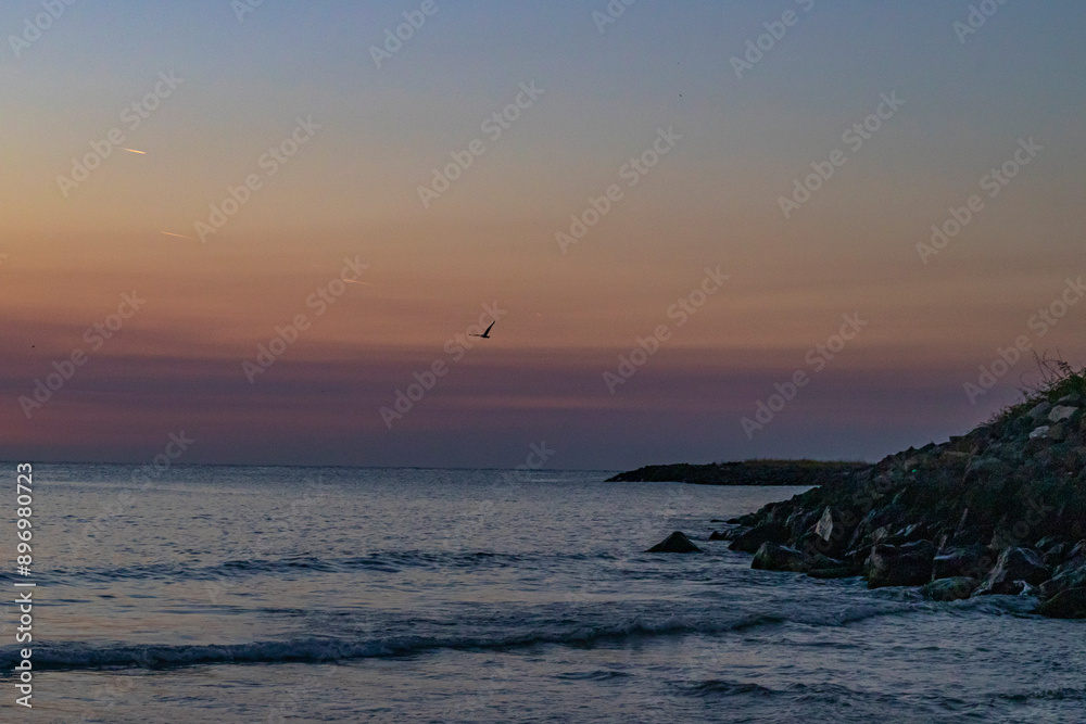 dawn on the seashore, waves rolling onto coastal stones, a seagull in the sky dawn on the seashore, waves rolling onto coastal stones, a seagull in the sky