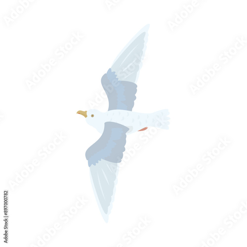 シロカモメ。フラットなベクターイラスト。
Glaucous gull. Flat vector illustration.