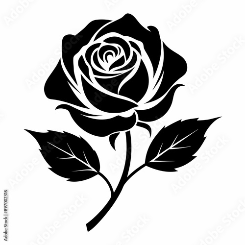 rose vector silhouette with white background