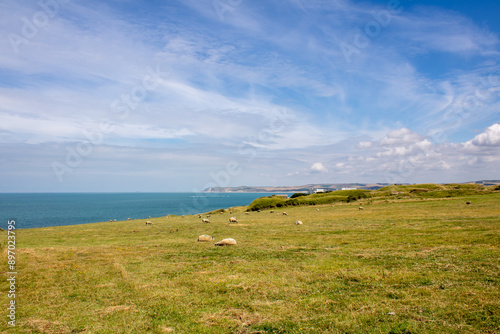 view from cap griz nez photo