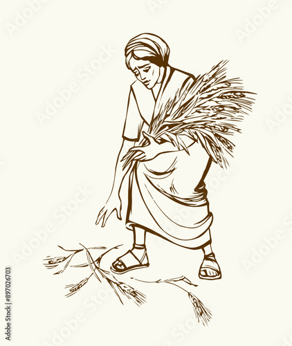 Vector drawing. A woman picks ears in the field