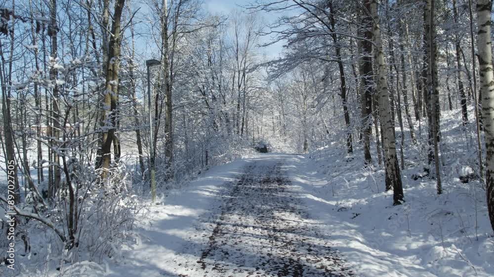 Winter Landscape With Unpaved Road And Trees. Dolly Shot Winter Landscape With Unpaved Road And Trees. Dolly Shot