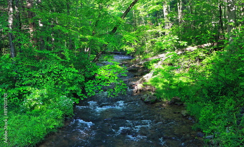 Mountain Stream, Licking Creek Run, Spectacle Gap, Juniata County, Pennsylvania, USA.