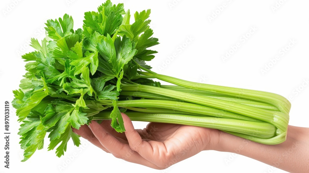 celery are in the hands on white background and empty space celery are in the hands on white background and empty space