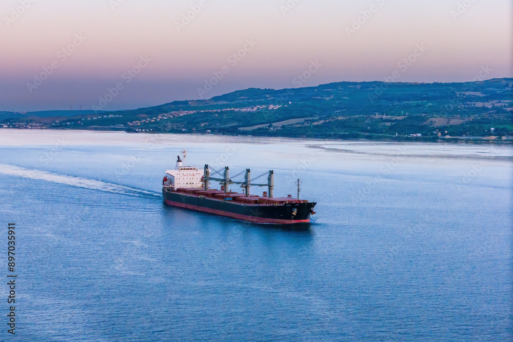 Fototapeta premium Cargo bulker ship carrying for export dry bulk cargo