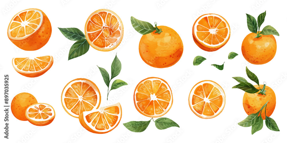 Set of oranges on a white background