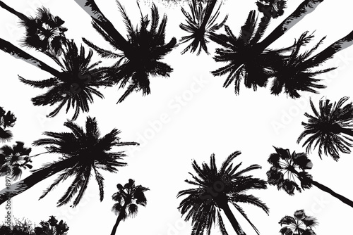 Detailed palm and coconut tree silhouette worms eye view illustration