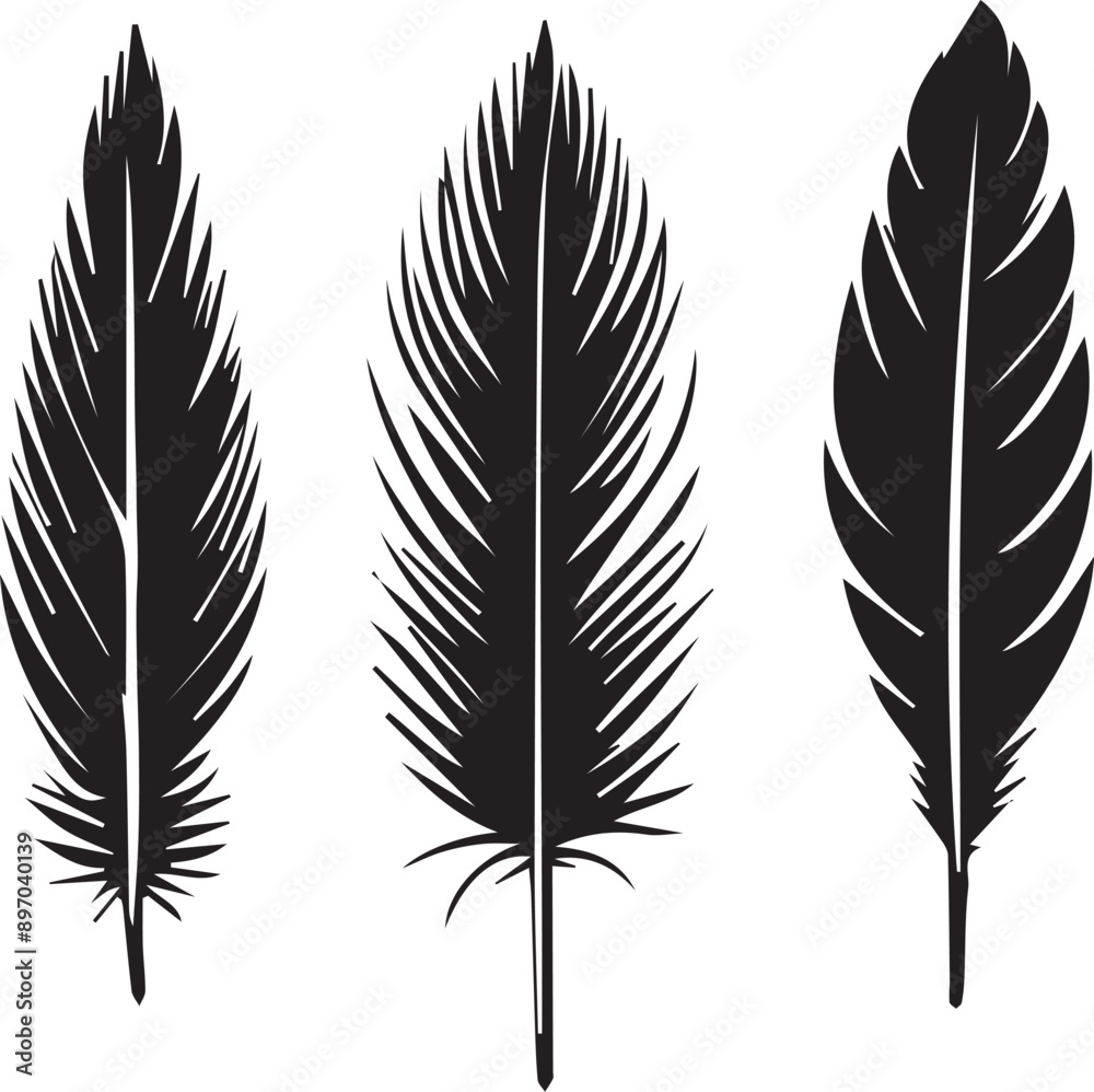 Bird Feather silhouette, black vector on white background Bird Feather silhouette, black vector on white background