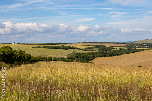 A view over fields in the South Downs in Sussex, on a summer's evening photo