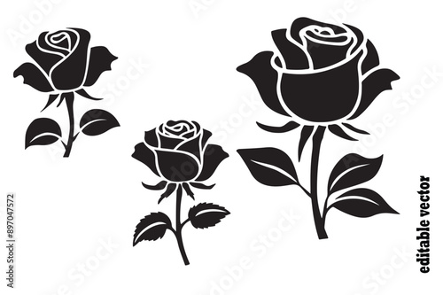 Fotografie illustration of a wilting rose silhouette