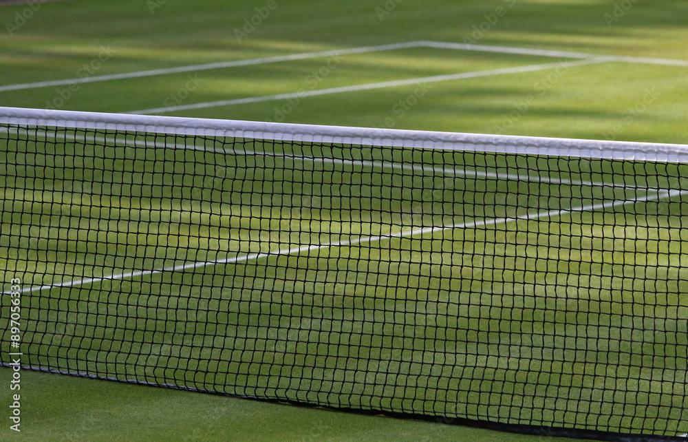 Details of the grass tennis court (tennis net), grass lawn for tennis Details of the grass tennis court (tennis net), grass lawn for tennis