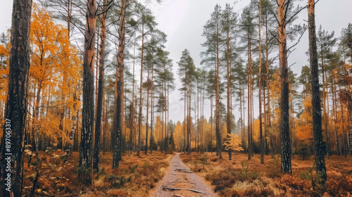 Enchanted autumn forest with tall trees covered in vibrant fall colors, a misty atmosphere, and a narrow trail leading deeper into the woods.