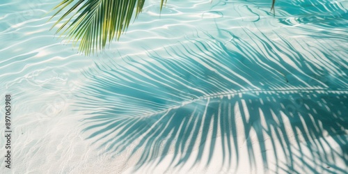 A palm tree's shape is reflected on calm water, making for a serene and peaceful scene