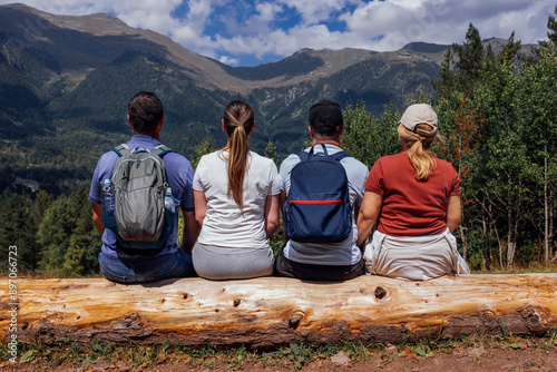 Obraz na plátně Group of tourists sits on log and enjoys mountain landscape
